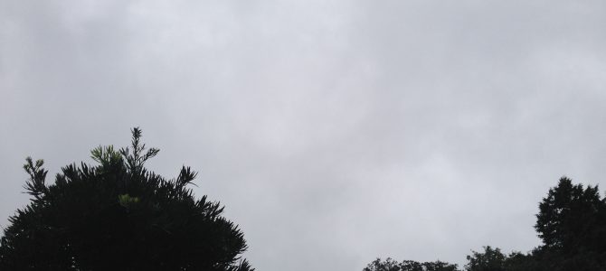 雨ですね 雨ですね