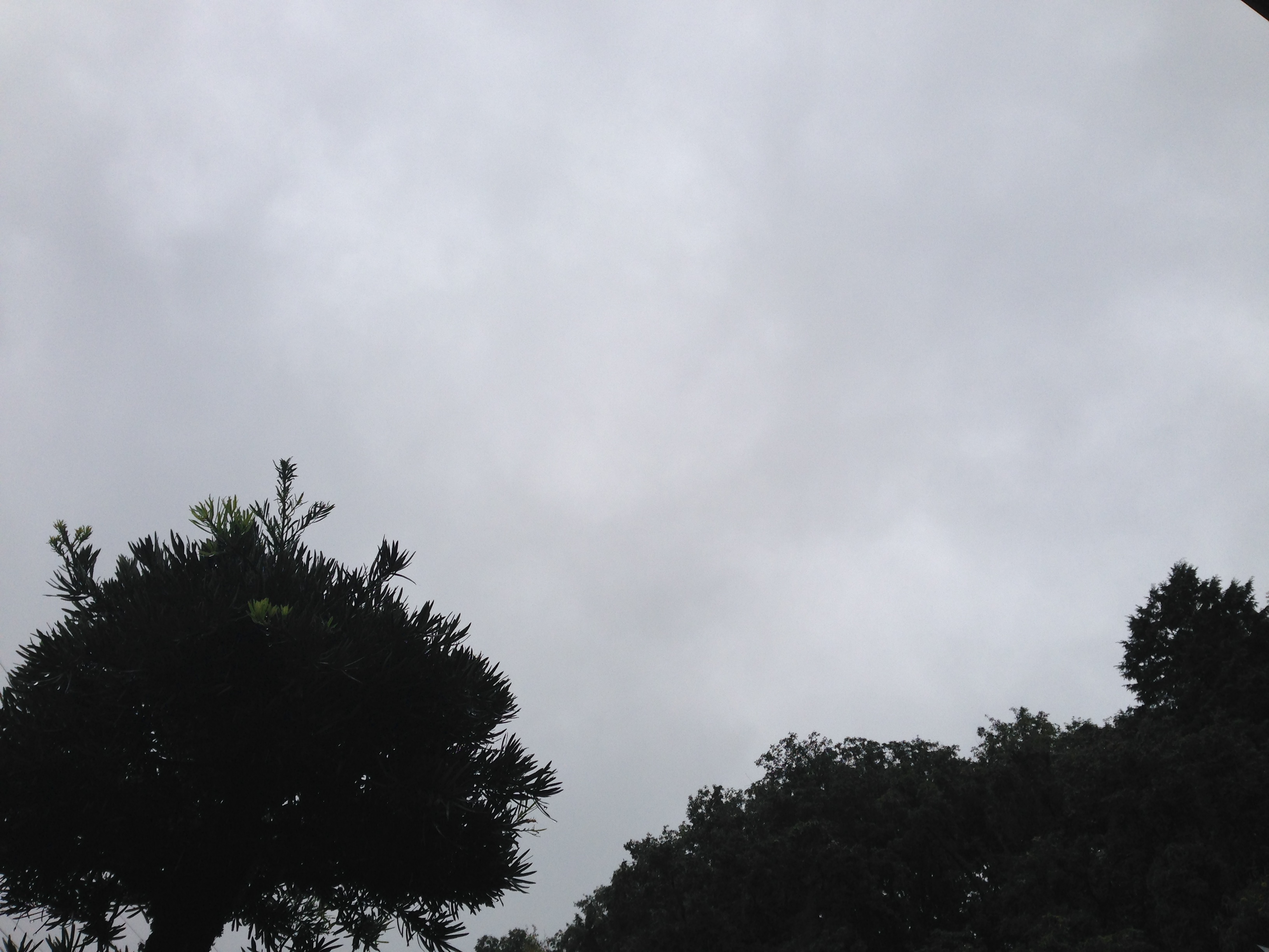 雨ですね