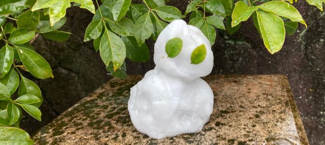 お知らせ